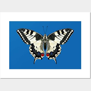 Old world swallowtail Posters and Art